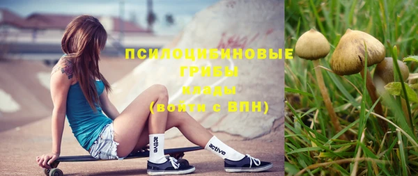 не бодяженный Кулебаки
