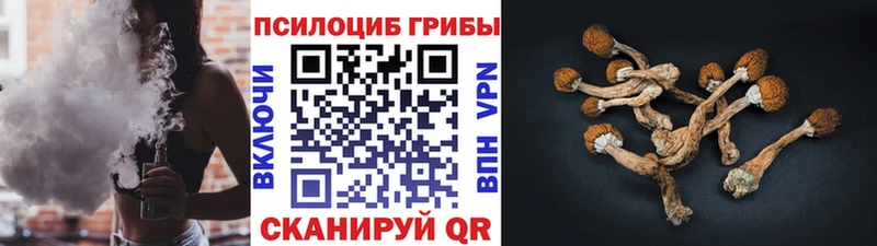 кракен ТОР  продажа наркотиков  Шали  Галлюциногенные грибы MAGIC MUSHROOMS 