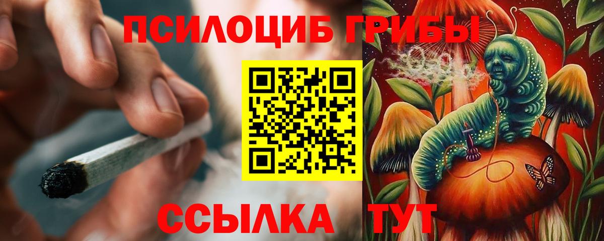 Псилоцибиновые грибы MAGIC MUSHROOMS  Вход с VPN  где купить наркоту  Шали  Псилоцибиновые грибы Psilocybine cubensis 